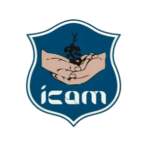 846a6b_1fccc1dbcc4240618822129ad7214320~mv2